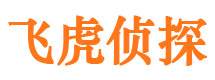 雁江侦探公司